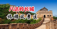 任我操在线观看视频中国北京-八达岭长城旅游风景区